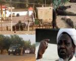 پاسداشت شهدای نیجریه و حمایت از رهبر شیعیان آفریقا در مشهد
