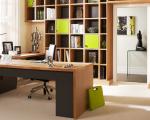 چگونه فضایی مناسب برای دفتر کار خانگی خود ایجاد کنیم؟