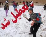 بارش برف مدارس آذربایجان غربی را به تعطیلی کشاند