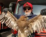عقاب دردسر ساز در چنگ آتش‌نشانان