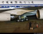 عکس/ سگ بمب یاب کنار هواپیمای رییس جمهور چین