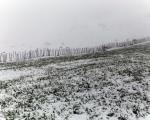 بارش برف بهاری در ساری