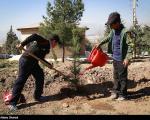 عکس/ کاشت نهال توسط کودکان کار در بوستان سرخه حصار