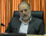 رئیس شورای شهر شیراز: دولت برخی امور خود را به شوراها واگذار كند
