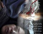 فیلم های روز نهم در کاخ جشنواره فیلم فجر 34