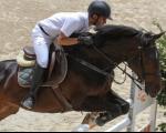 رقابت های پرش با اسب در قزوین به کار خود پایان داد