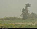 سرعت وزش باد در سیستان و بلوچستان به70 كیلومتر می رسد
