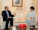 سفیر ایران با وزیر كشور پاكستان دیدار كرد: تاكید بر گسترش روابط، محور گفت و گوها