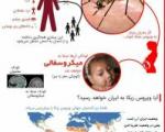ویروس زیکا چیست و وضعیت آن در ایران چه طور است؟