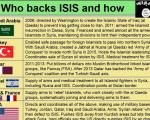 حامیان اصلی داعش چه کسانی هستند؟/آمریکا حامیان داعش را مدیریت می‌کند+عکس
