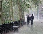 بارش باران در روز اربعین در تهران و ۱۴ استان دیگر