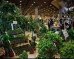 پنجمین نمایشگاه تخصصی گل و گیاه، ماهیان و پرندگان زینتی در اصفهان افتتاح شد