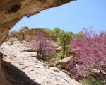 دره «ارغوان» ایلام اوج شکوه و زیبایی در بهشت رنگ‌ها