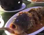 پختن و خوردن ماهی به صورت زنده در چین! + تصاویر
