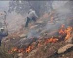 امسال 40 مورد آتش سوزی در عرصه های منابع طبیعی گالیکش رخ داد