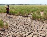 پیش‌بینی قحطی و خشکسالی مرگبار در جهان تا سال 2050/هشدار محققان درباره کمبود کم‌سابقه آب