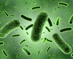 حذف 92 درصد باکتری های مقاوم به دارو به کمک نانو فناوری