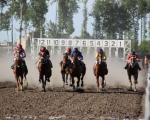 رقابت 60 راس اسب در هفته نهم مسابقات اسبدوانی کورس بهاره گنبدکاووس