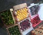 توزیع گسترده و شبانه میوه‌های خارجی در تهران/ مسئولان متعجب شدند