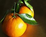 داستانک/ پرتقال های نارنجی مادرم
