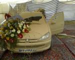 ماشین عروسی داداشم....