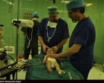 پزشکان جهادی ایران رکورد جراحی شکاف "لب و کام" جهان را شکستند