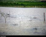 بارش‌ شدید باران به شمال کشور رسید/ احتمال سیلاب در مازندران و گلستان