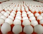 دبیر کانون پرورش دهندگان مرغ تخم گذار: قیمت تخم مرغ کاهش می یابد