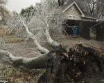 «طوفان یخ» در آمریکا 8 کشته برجای گذاشت + تصاویر