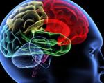 رابطه‌ بین چربی خون و عملکرد مغزی