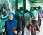 چهره ها/ «المیرا شریفی مقدم» هم به عشق ایران رای داد