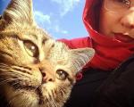 سلفی خانم بازیگر کشورمان با گربه اش! عکس