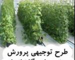 116 میلیارد ریال تسهیلات به طرحهای گلخانه ای فارس اختصاص یافت
