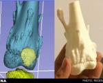 استفاده از فناوری نوین پرینت سه‌بعدی در پزشکی در دانشگاه علوم پزشکی مشهد