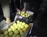 میوه‌ قاچاق دوباره به مغازه‌ها بازگشت/ انگور شیلی ۴۵ هزار تومان
