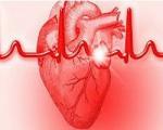 دکتر سلام/ بعد از فوت عزیزان باید مراقب حمله قلبی باشیم