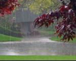 بارش 24 میلیمتری باران طی 48 ساعت گذشته دركرمانشاه/بارش ها ادامه می یابد