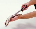 فوت آشپزی/ آموزش پاک کردن «ماهی قزل آلا»