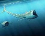 4گوشه دنیا/ ماهی‌ عجیب با ۹۲ میلیون سال قدمت !