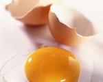 تغذیه/ تخم مرغ و این توصیه های مهم و مفید