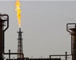 تولید روزانه گاز ایران از پارس جنوبی امسال از قطر پیشی خواهد گرفت