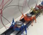 ربات‌های مورچه‌ای که می‌توانند خودرو جابجا کنند