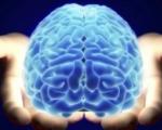 تشریح مغز انسان در چهارمین کنگره بین المللی علوم اعصاب پایه و بالینی