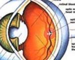 دکتر سلام/ عواملی که چشم شما را پرخون می‌کند