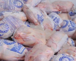 توزیع گوشت مرغ منجمد از فردا در سراسر کشور