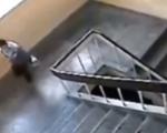 لحظه وحشتناک سقوط یک دانش آموز از پله های مدرسه + فیلم
