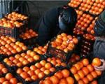 ذخیره‌سازی 65 هزار تن سیب و پرتقال برای عید