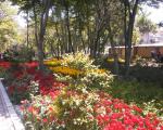 باغ ایرانی توی ده ونک
