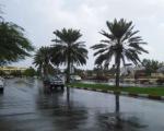 بارش پراکنده و افزایش سرعت بادهای شرقی و شمال شرقی در خلیج فارس