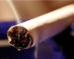مرگ سالانه ۶۰ هزار نفر به دلیل مصرف دخانیات در کشور